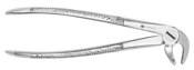 Extracting Forcep #MD3