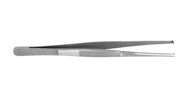 Tissue Forcep 6'' 2X3 product image