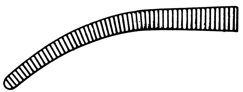 Rankin-Crile Forcep 6.25'' Curved product image