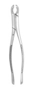 Extracting Forcep #17