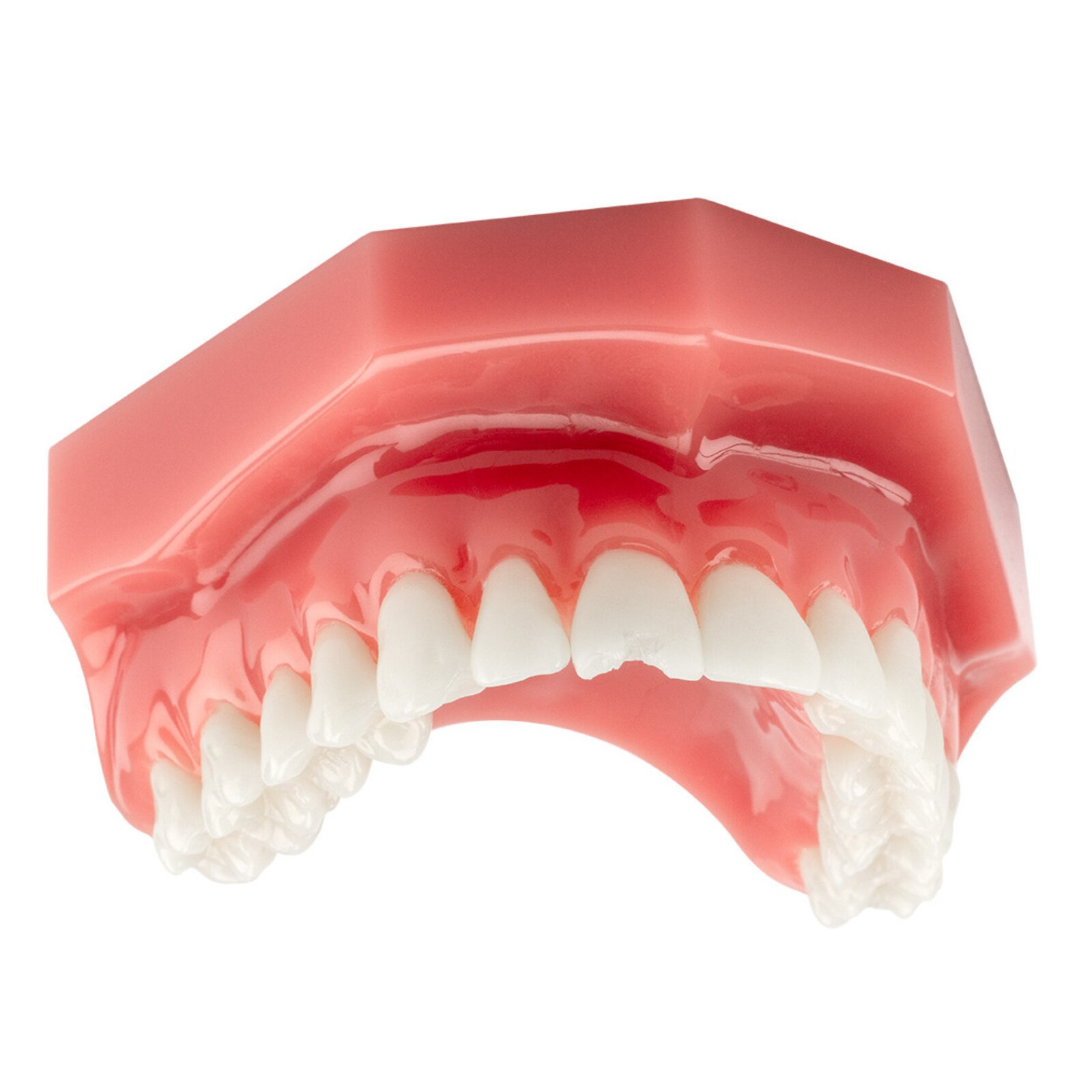 DentXpin Bulk Kit 100/Pk thumbnail 3