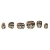 Evolve Stainless Steel Primary Molar Crowns 1st Lower Left-6 Box Of 5