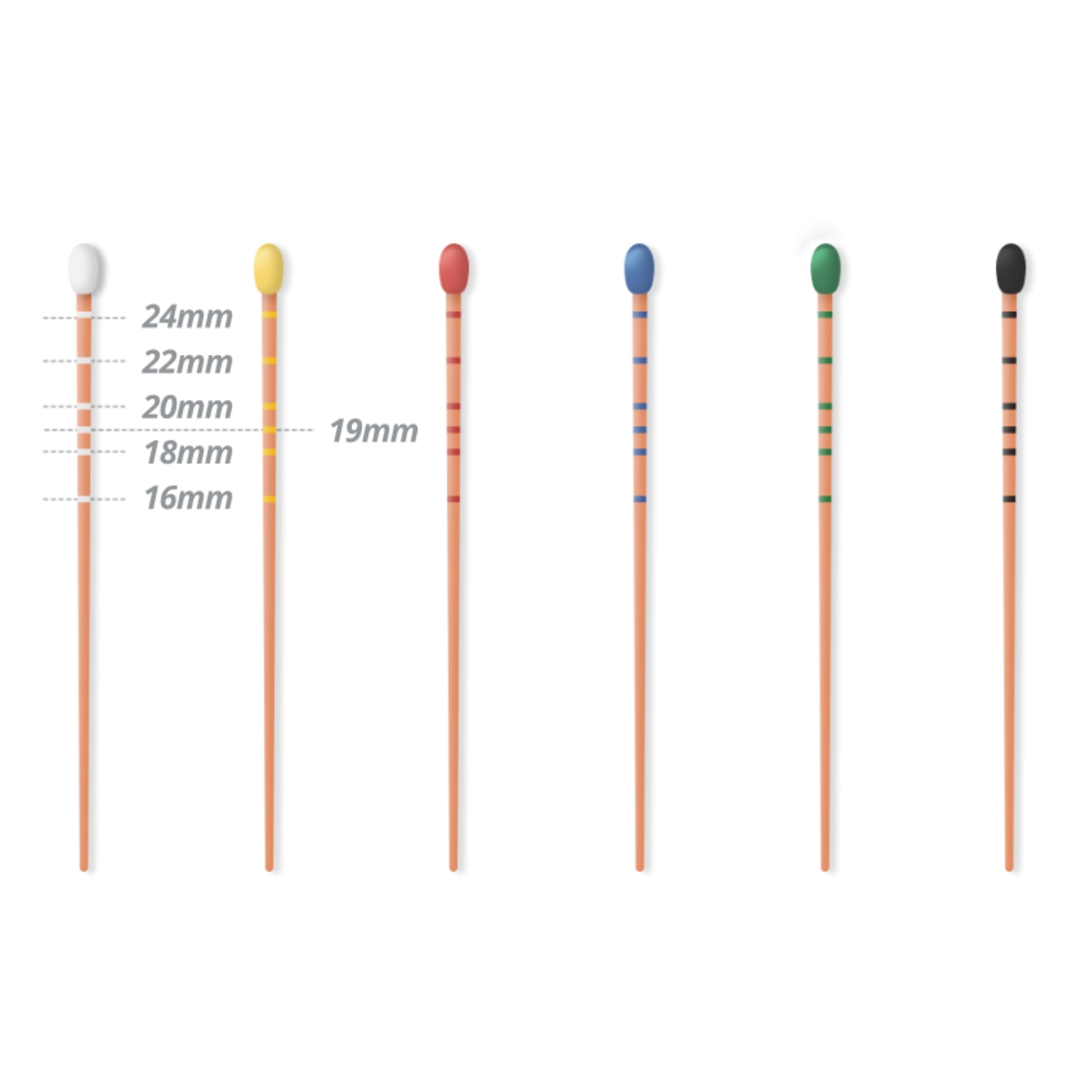 Gutta Percha .06 Taper 60/Pk #55 product image