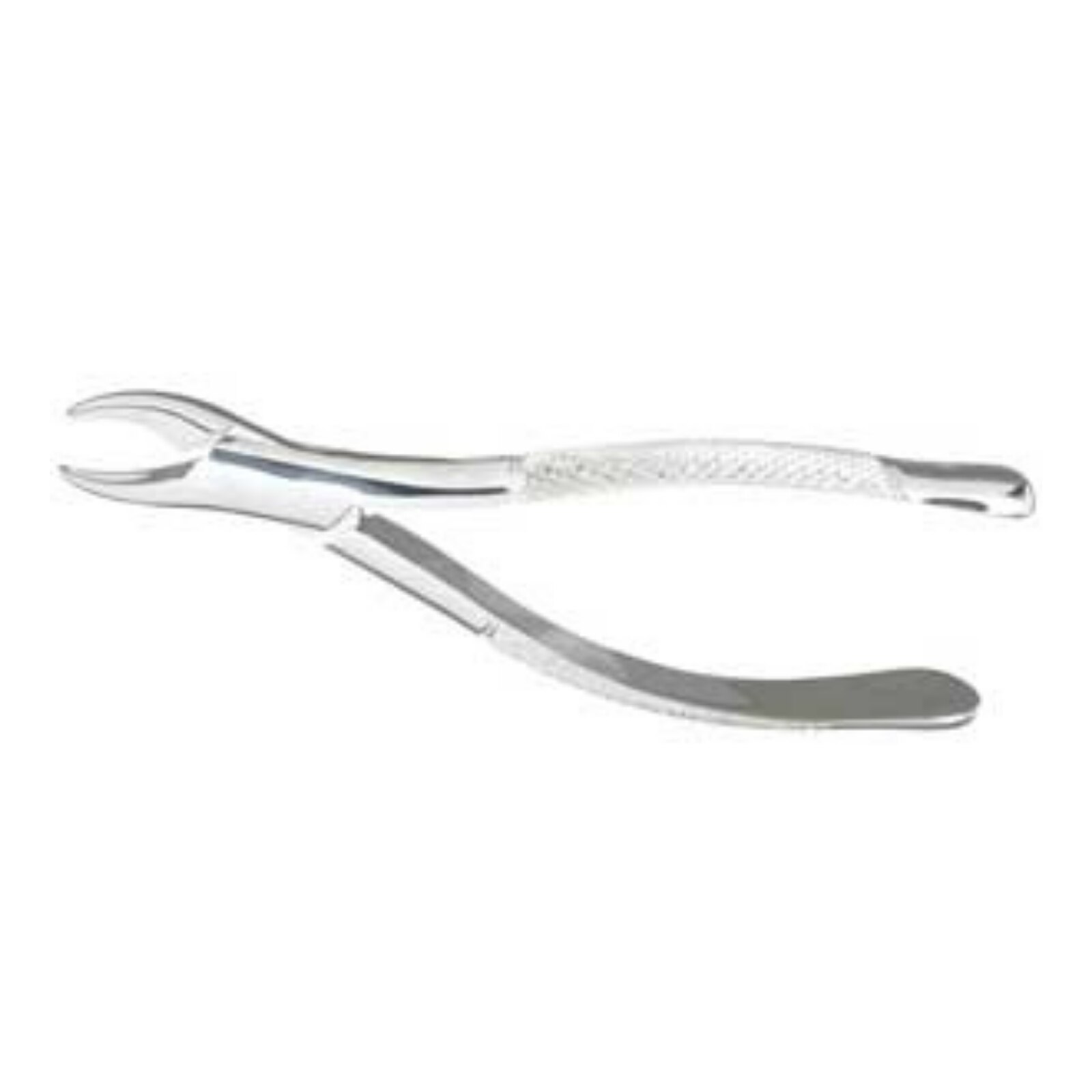 #62 Extracting Forceps thumbnail 2