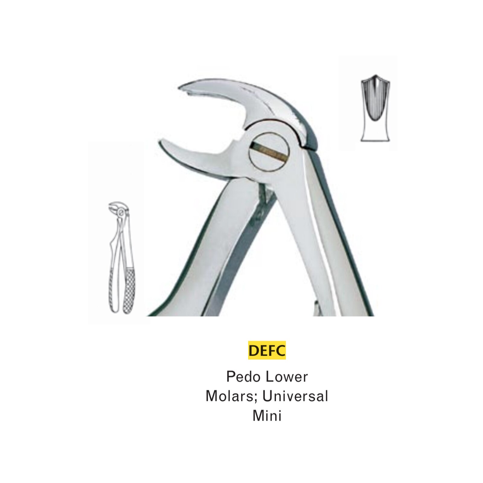 Extracting Forceps Size C Universal Pedo Ea product image