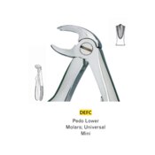 Extracting Forceps C